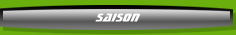 Saison